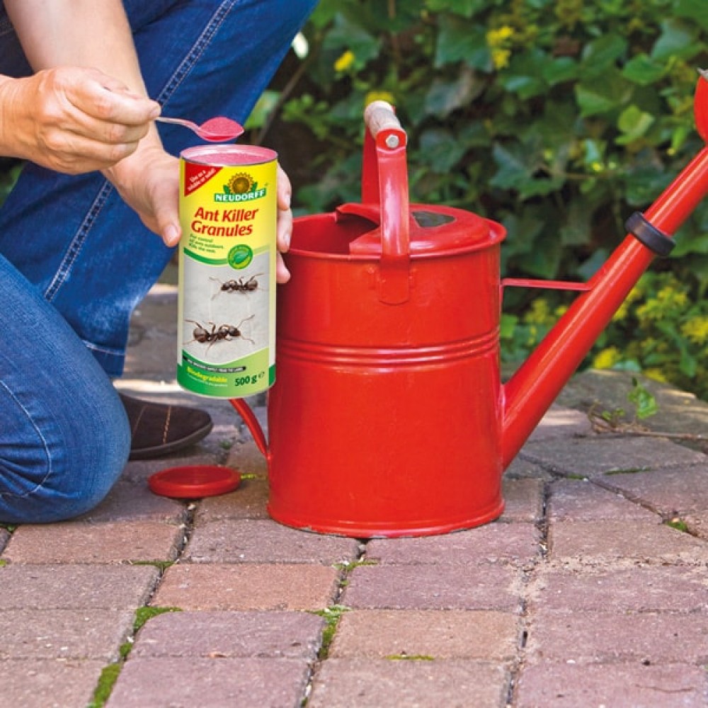 Neudorff Ant Killer Granules | 500g