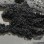Asphalt