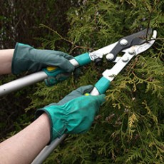 Gardening Hand Tools