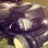 Lawnmowers