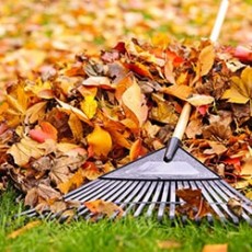 Rakes & Lawn Care Tools
