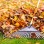 Rakes & Lawn Care Tools