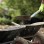 Wheelbarrows