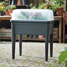Garden Décor