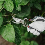 Kent & Stowe Traditional Bypass Secateurs