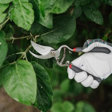 Kent & Stowe Traditional Bypass Secateurs