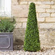 Topiary Obelisk | 90cm