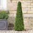 Topiary Obelisk | 90cm