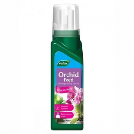 Westland Orchid Concentrate 200ml | 20100348
