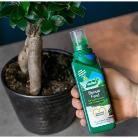Westland Bonsai Feed Concentrate 200ml | 20100354