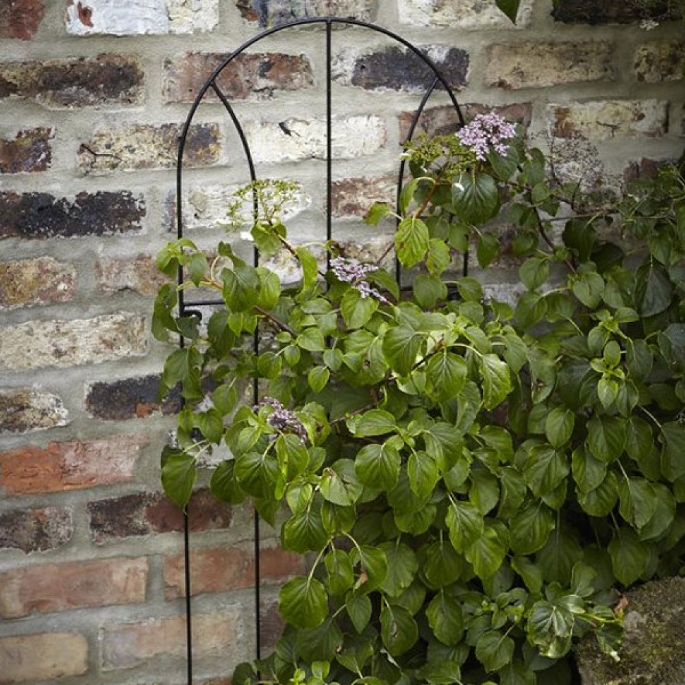 Tom Chambers Flora Metal Trellis