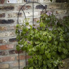 Tom Chambers Flora Metal Trellis