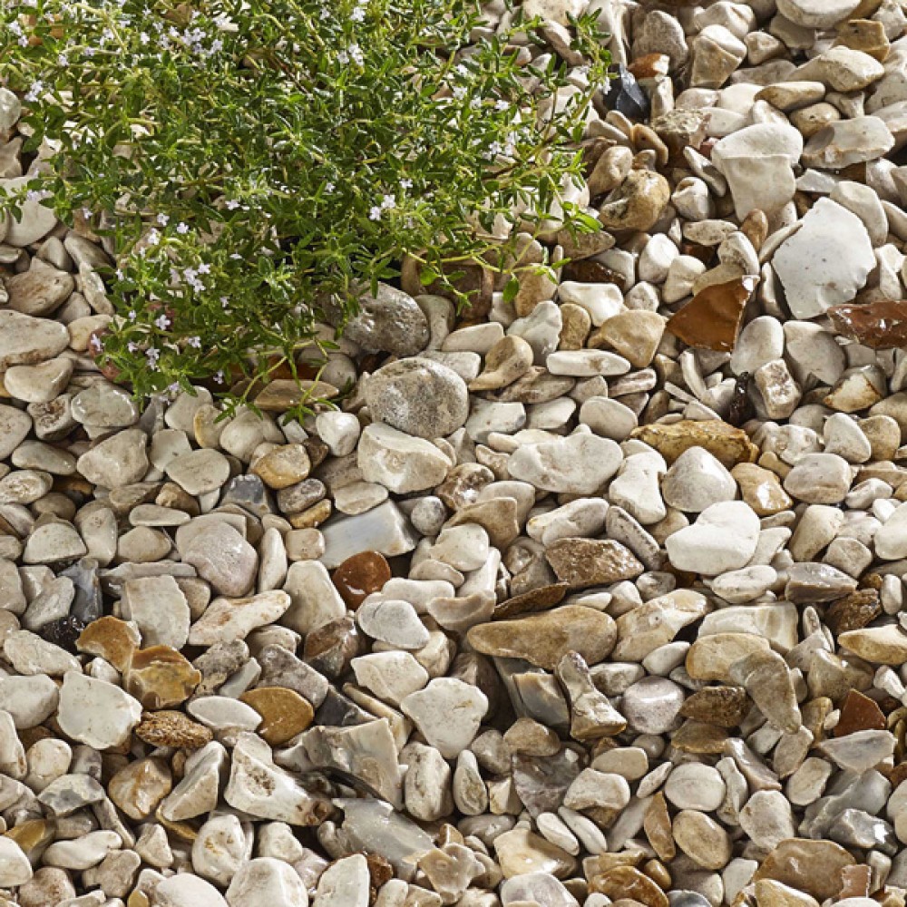 Kelkay Yorkshire Cream Stone Chippings 15-25mm | Large Pack (0.4 Sq M)