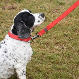 Uber-activ Padded Dog Lead Red Large | 8001170
