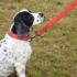 Uber-activ Padded Dog Lead Red Large | 8001170