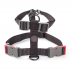 Walkabout Jet Dog Harness - Xs | 8001008