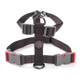 Walkabout Jet Dog Harness - Large | 8001011