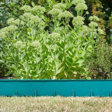 Flexedge Green | 7010043