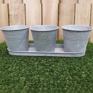3 Galvanised Flower Pots & Tray