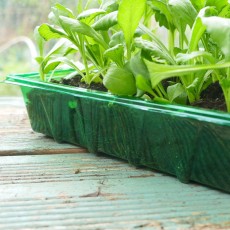 Gro-Sure Visiroot Seed Tray | Pack of 4 | 70200202