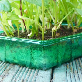 Gro-Sure Visiroot Seed Tray | Pack of 4 | 70200202