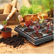 Growing Tray 9cm Round Pots | 18