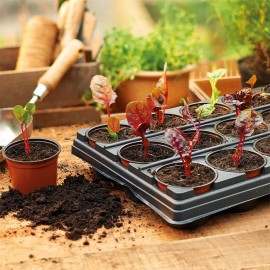 Growing Tray 9cm Round Pots | 18