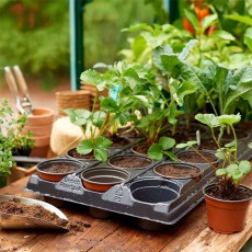 Growing Tray 9cm Round Pots | 18