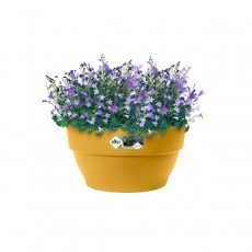 Elho Vibia Campana Bowl | Various Colours & Sizes