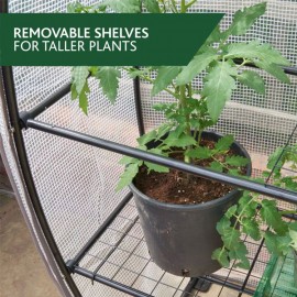 Visiroot Growhouse 12 Tray