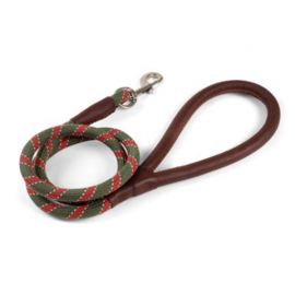 Primo Dog Lead Olive 120x1.2cm | 8030032