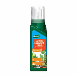Westland Cacti & Succulent Feed Concentrate 200ml
