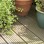 Timber Decking