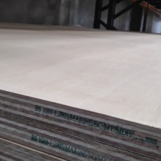Marine Plywood | Size Options