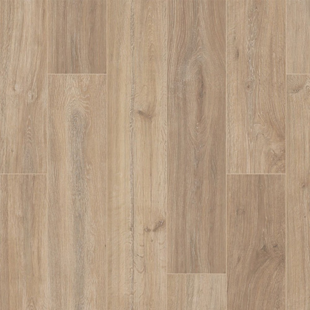 Bermuda Oak 12mm | 6965+ | 1.81y2