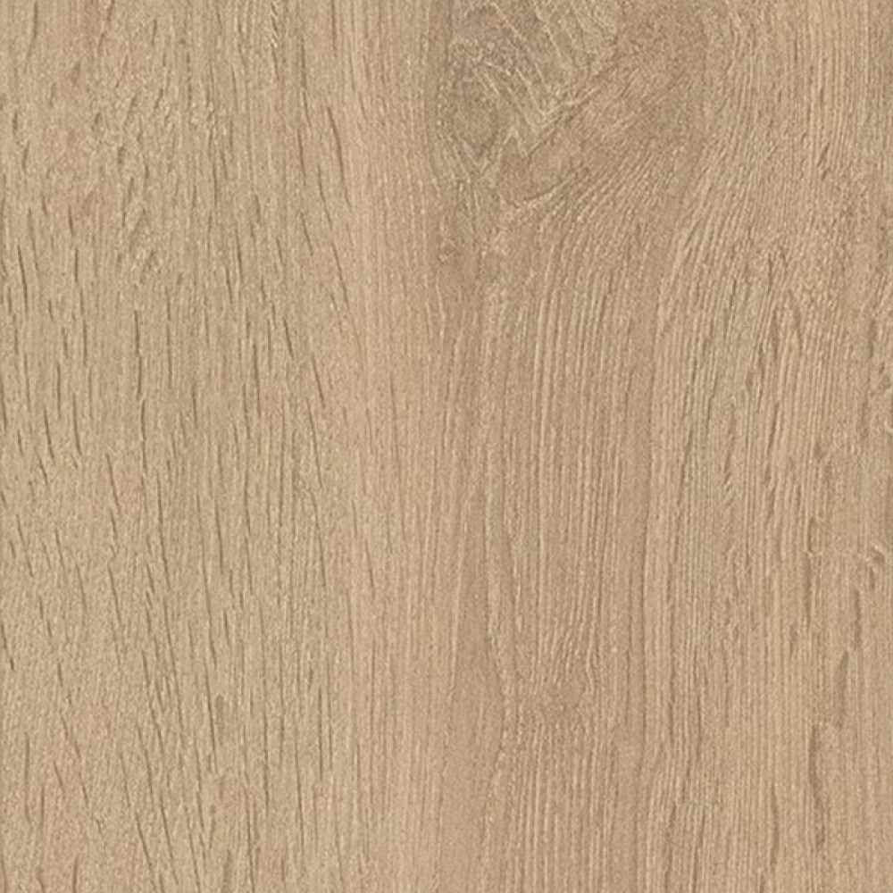 Light Brushed Oak 12mm AC5 | 8634+ | 1.81yd2