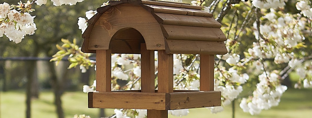 Wild Bird Care