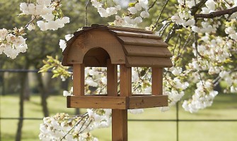 Wild Bird Care