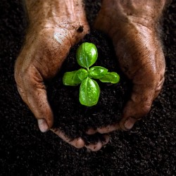 Compost, Topsoil & Mulch