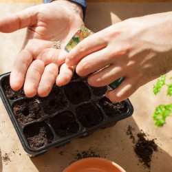 Grow Your Own
