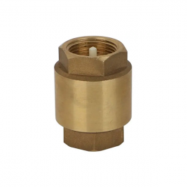 1/2" Female Spring Non Return Valve