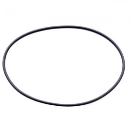 Firebird O-ring | FE65327520 