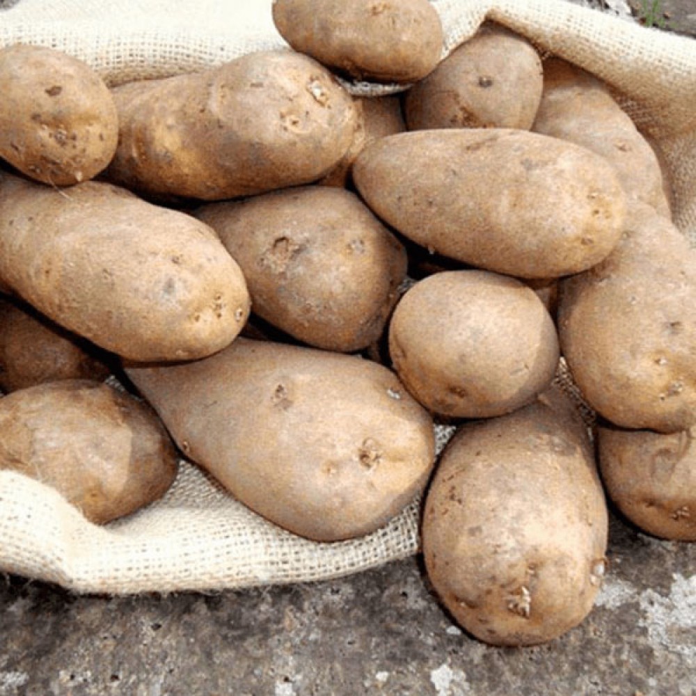 Golden Wonder Maincrop Potatoes | 2kg
