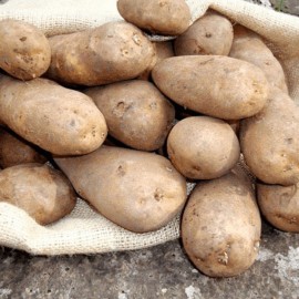 Golden Wonder Maincrop Potatoes | 2kg