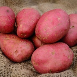 Kerrs Pink Potatoes | 2kg