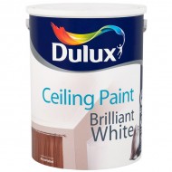 Dulux 5l Ceiling Paint Brilliant White