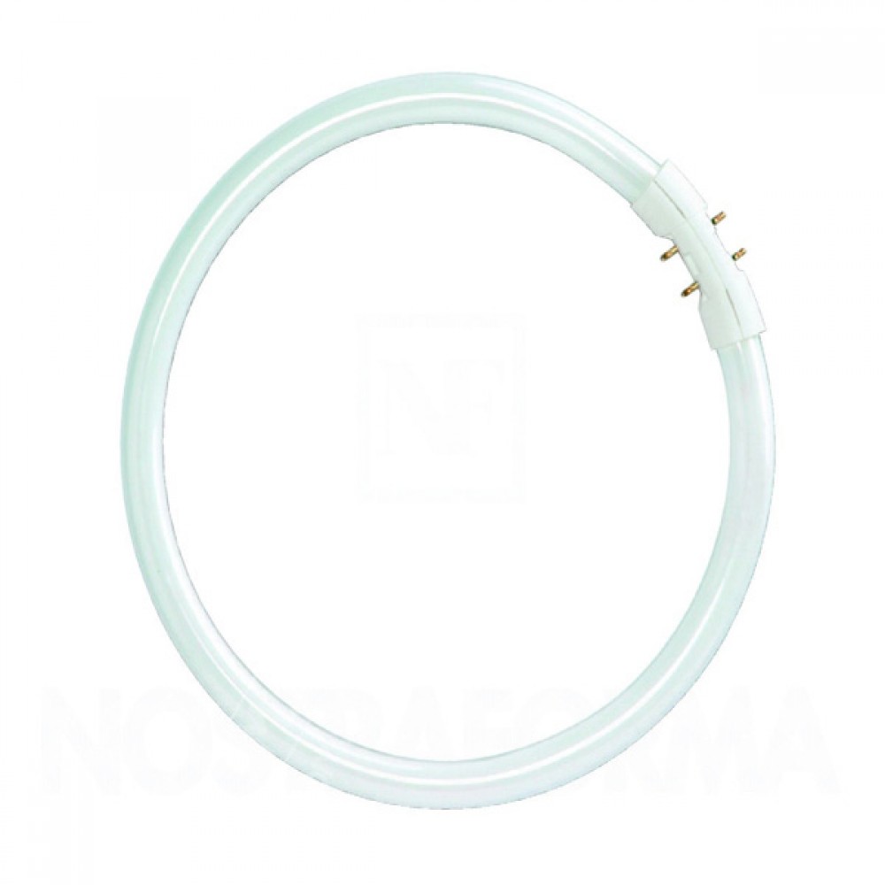 Osram 32w Circular Fluorscent Bulb|840|G10Q
