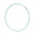Osram 32w Circular Fluorscent Bulb|840|G10Q