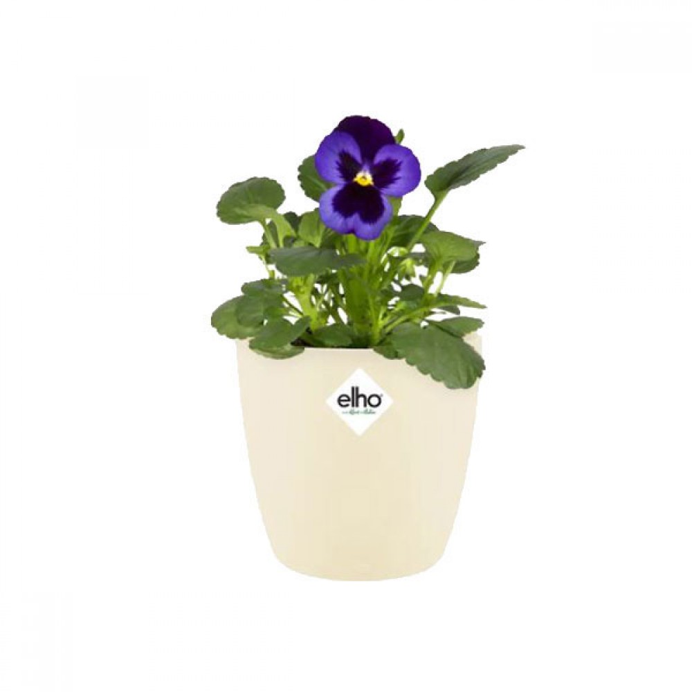 Elho Brussels Round | Various Colours & Sizes