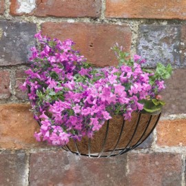 16'' Smart Wall Basket